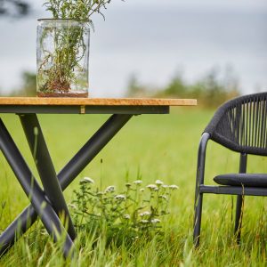 Hillerstorp Ekeryd Bord